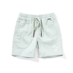 Beachside Shorts