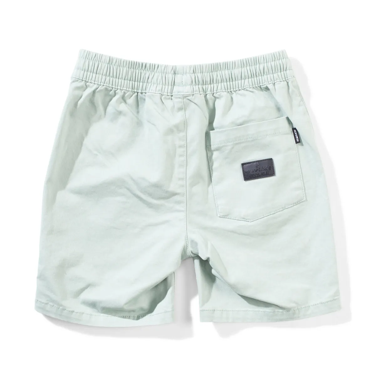 Beachside Shorts