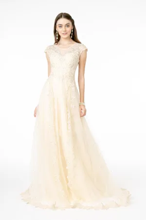 Embroidered Mesh A-Line w/ Sheer Back Long Prom Dress GLGL2882