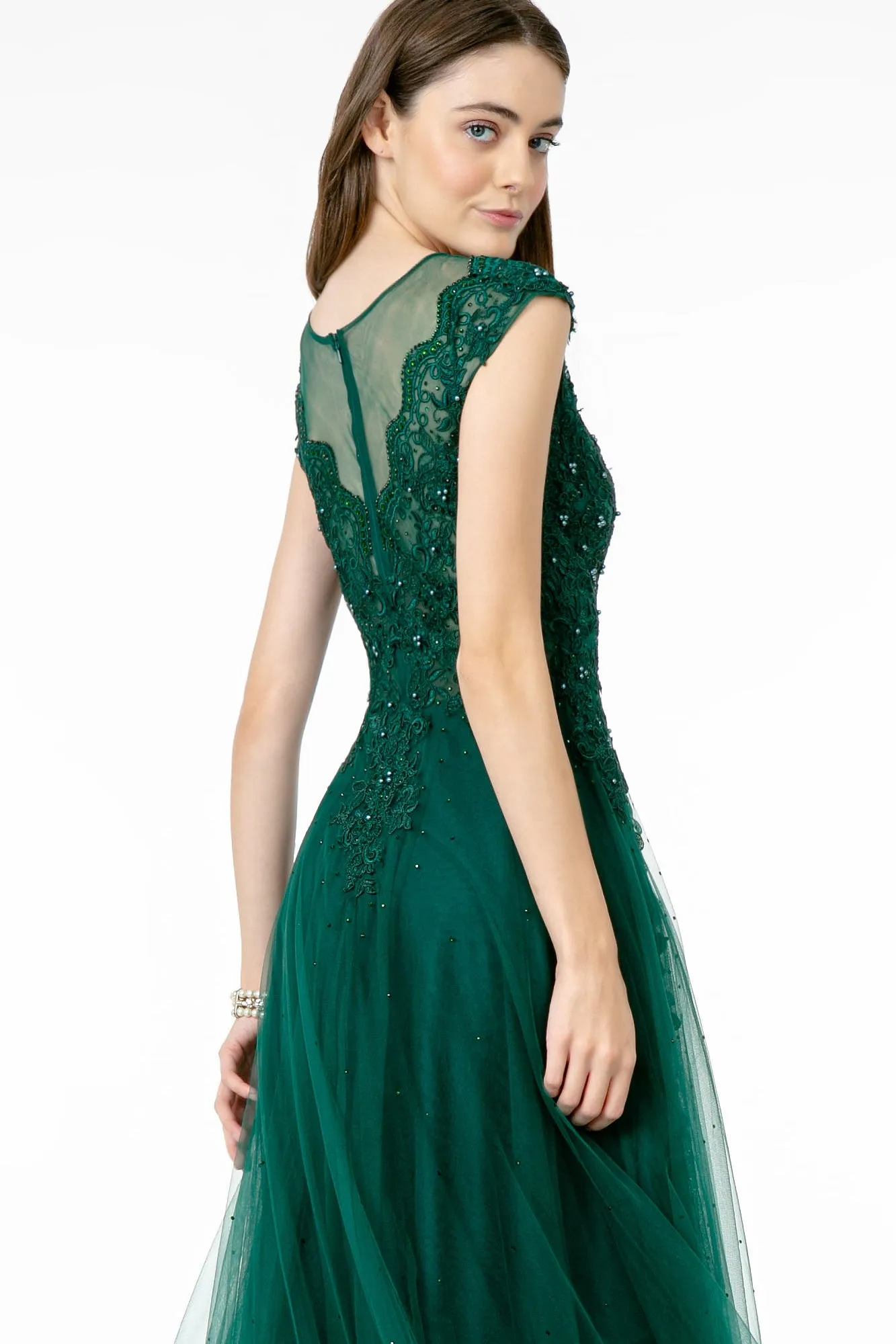 Embroidered Mesh A-Line w/ Sheer Back Long Prom Dress GLGL2882