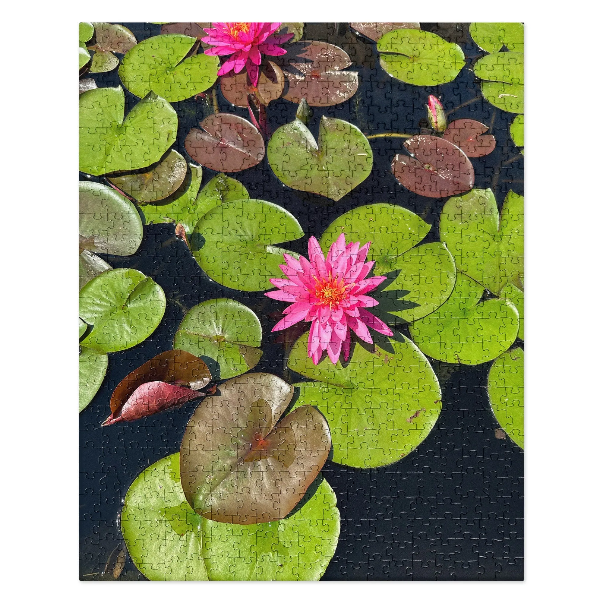 Jigsaw puzzle of Lotus Flower in a Pond - a wonderful pink blossom in the middle of some bright green lily pads and foliage