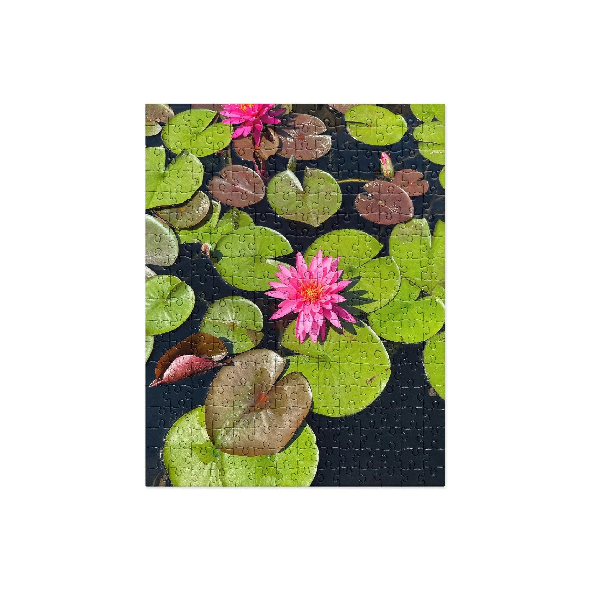 Jigsaw puzzle of Lotus Flower in a Pond - a wonderful pink blossom in the middle of some bright green lily pads and foliage