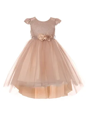 Little Girls Blush Glitter Hi-Low Flower Girl Dress 2-6