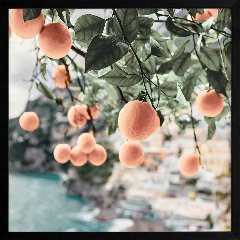 Peachy Dreams Framed Art Print