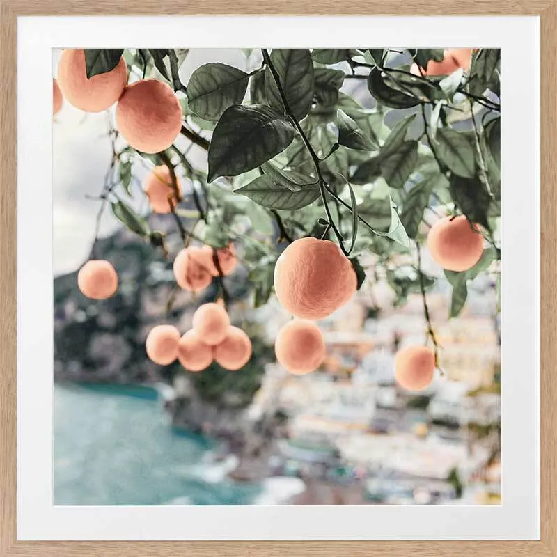 Peachy Dreams Framed Art Print