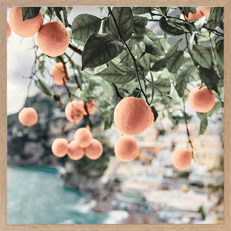 Peachy Dreams Framed Art Print