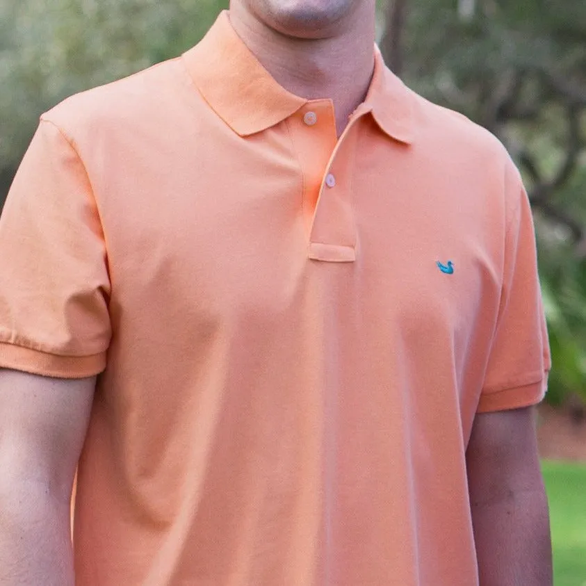 Stonewall Polo