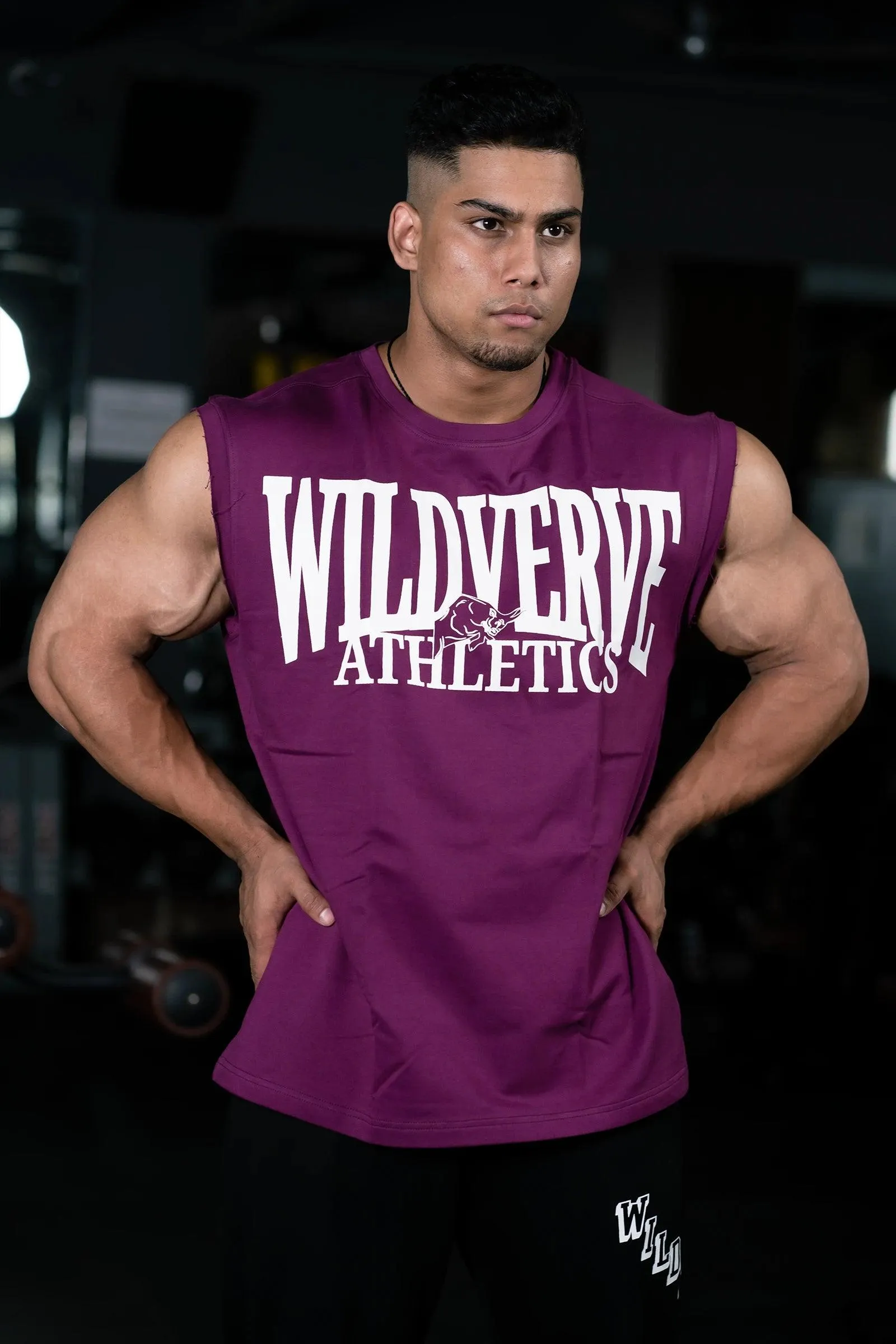 WILD VERVE VINTAGE MUSCLE TANK (MYSTIC PLUM)