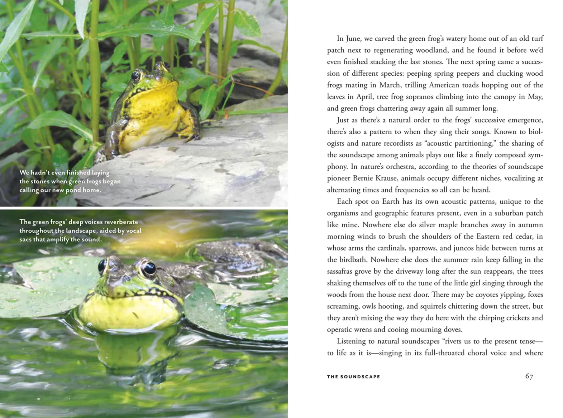 Wildscape: Trilling Chipmonks, Beckoning Blooms, Salty Butterflies & Other Sensory Wonders Of Nature
