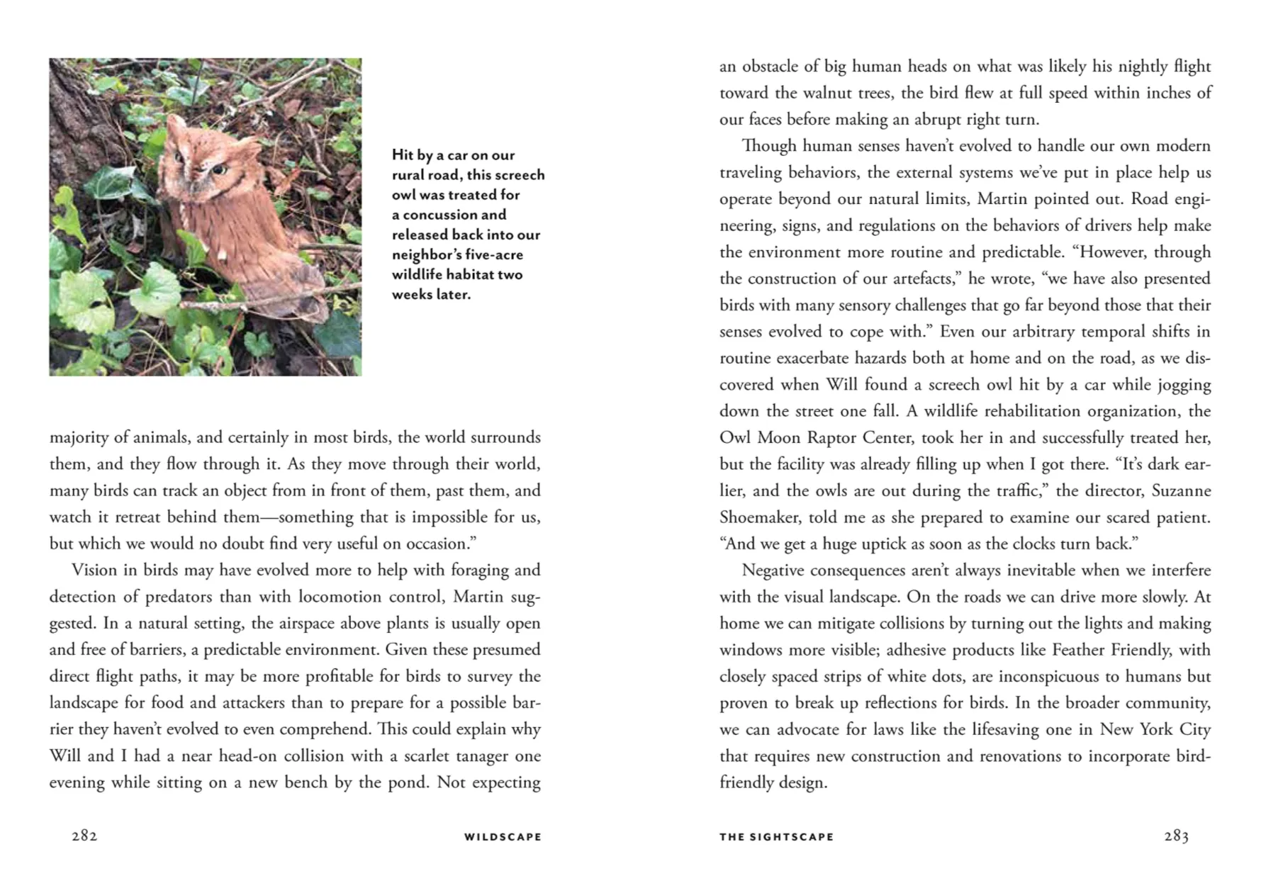 Wildscape: Trilling Chipmonks, Beckoning Blooms, Salty Butterflies & Other Sensory Wonders Of Nature