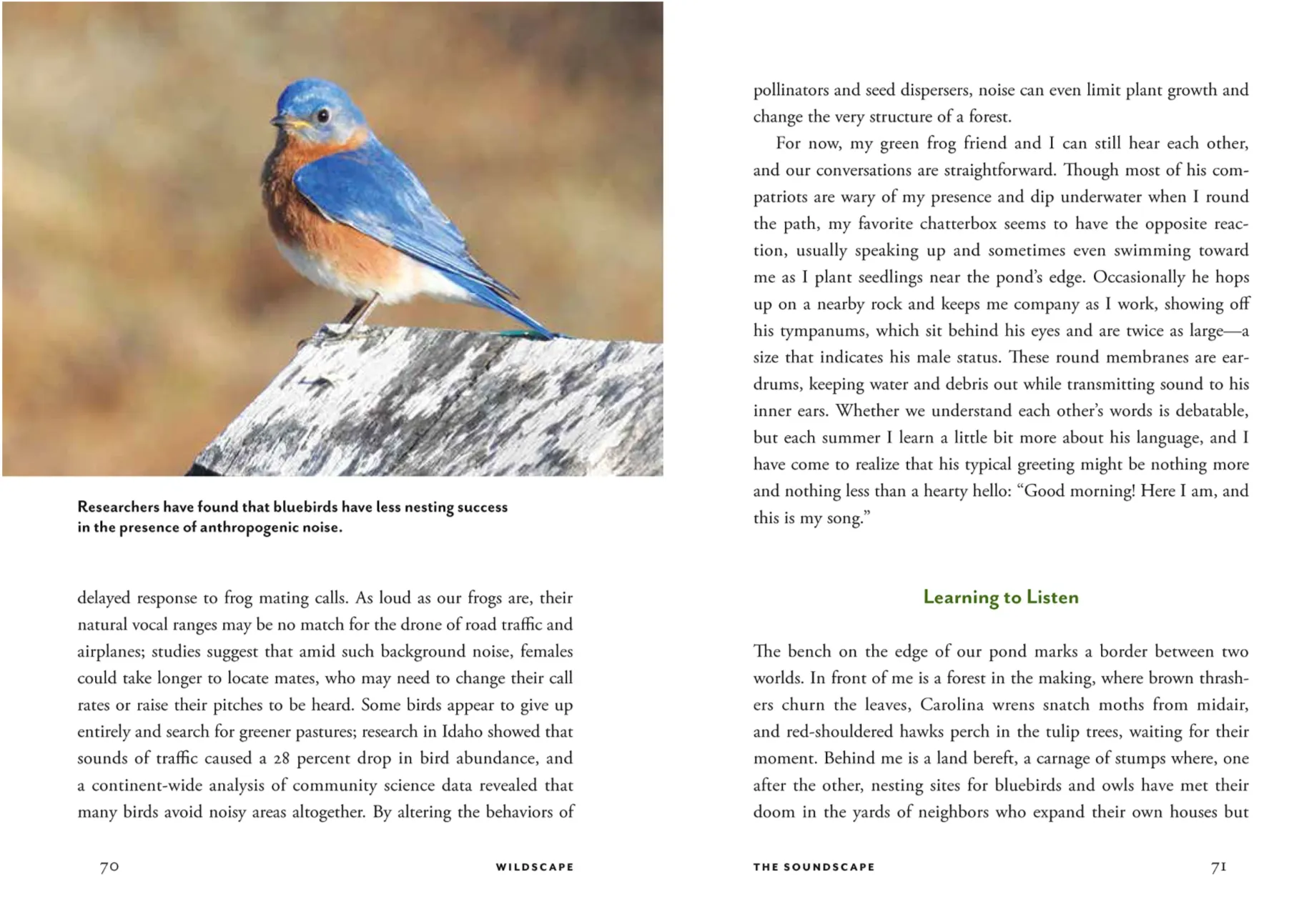 Wildscape: Trilling Chipmonks, Beckoning Blooms, Salty Butterflies & Other Sensory Wonders Of Nature