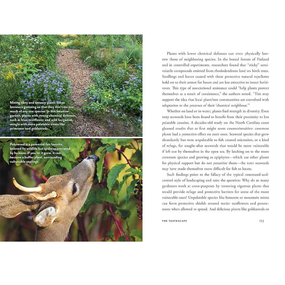 Wildscapes
