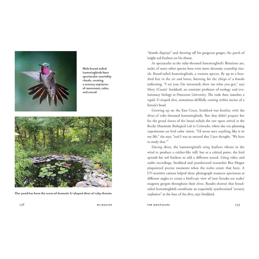 Wildscapes