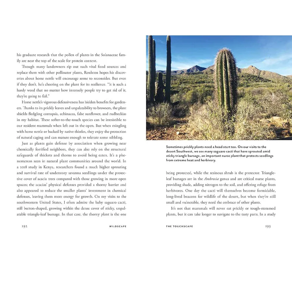 Wildscapes