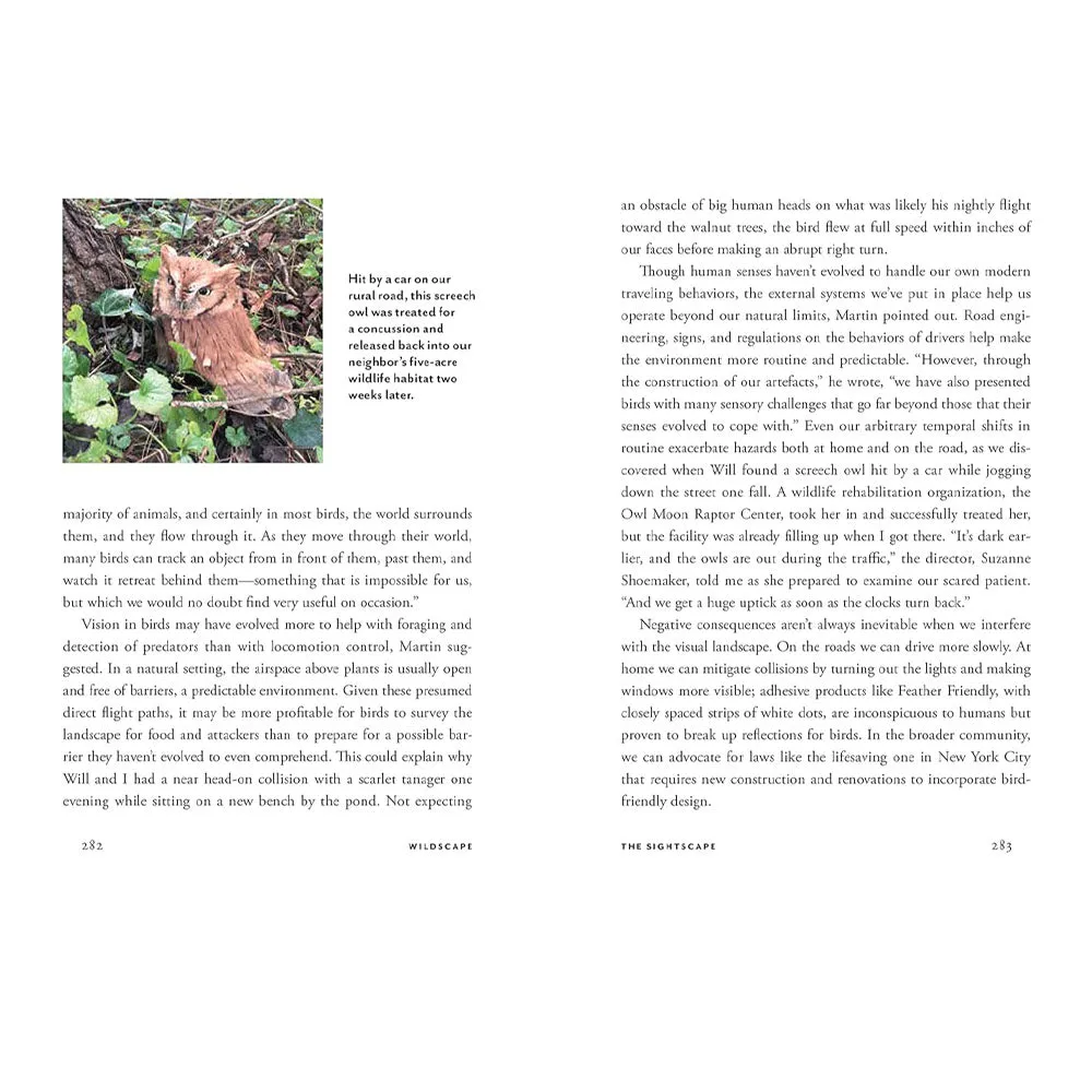 Wildscapes
