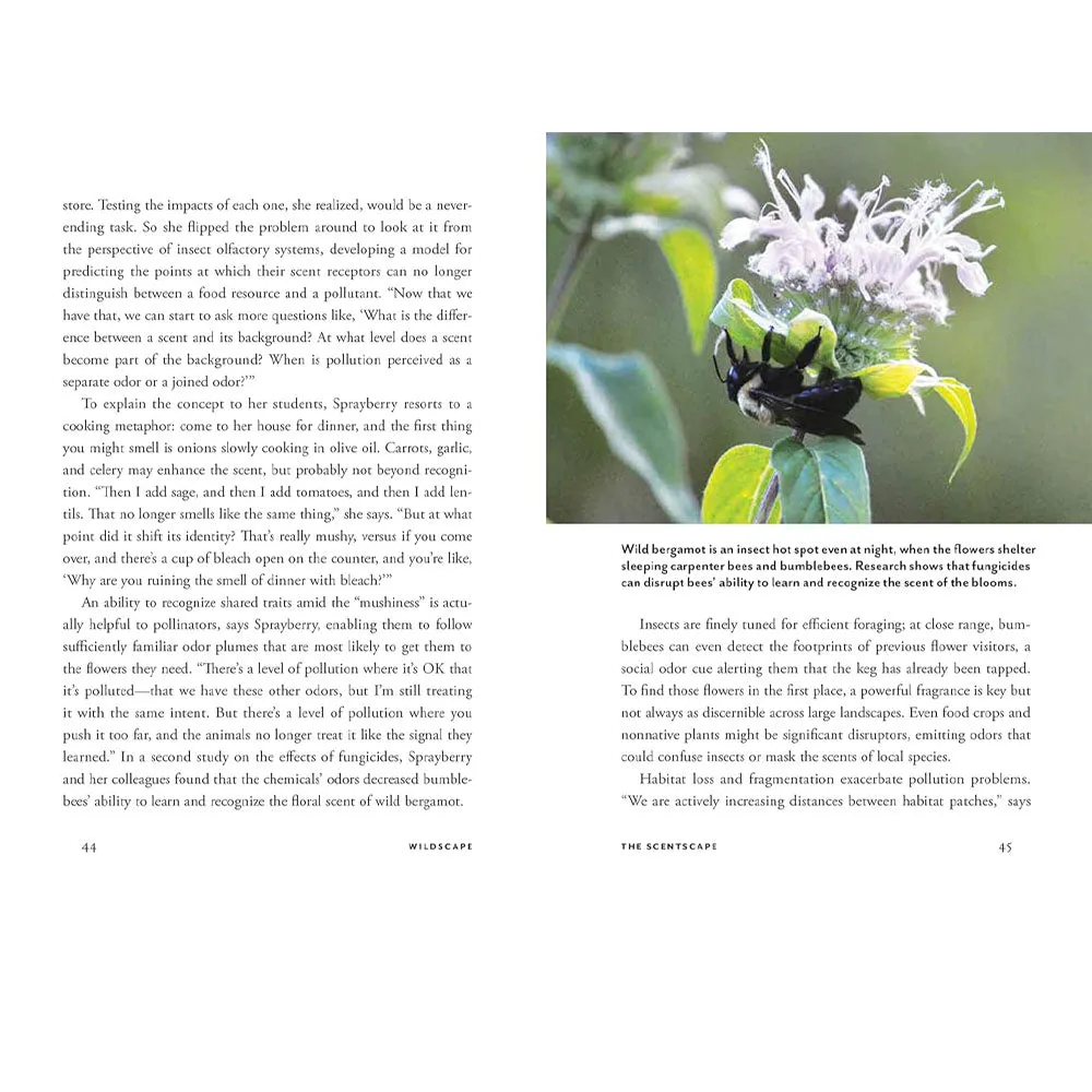 Wildscapes